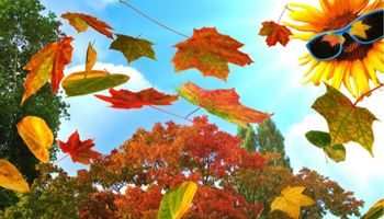 indian summer pendelpost